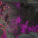 Image for article titled Map Reveals That Wildfires Release As Much Energy As Nuclear Power Plants